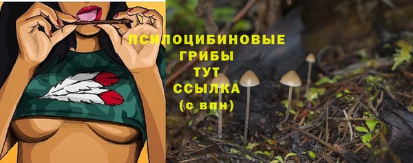 метадон Карпинск