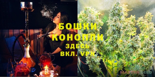 гашик Карталы