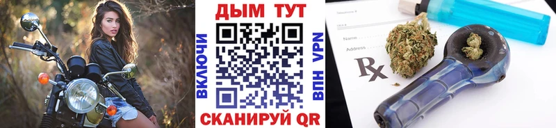 Купить где  Инза  Каннабис сатива 
